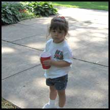 lily.jpg (7410 bytes)